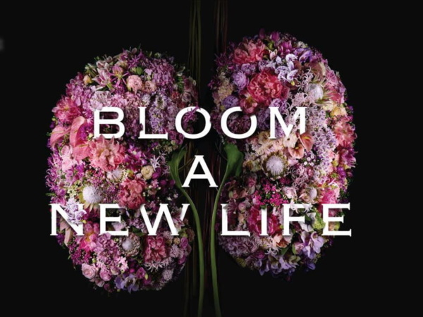bloom a new life